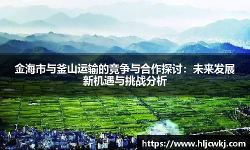 金海市与釜山运输的竞争与合作探讨：未来发展新机遇与挑战分析