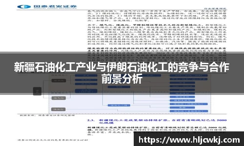 新疆石油化工产业与伊朗石油化工的竞争与合作前景分析